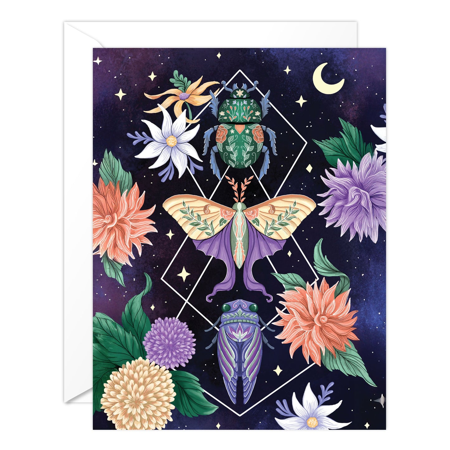 (6-PACK) Beetle Moth Cicada