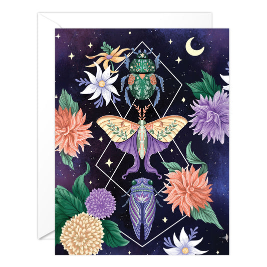 (6-PACK) Beetle Moth Cicada